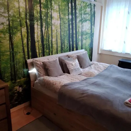Apartment Szent Miklos Hajduszoboszlo