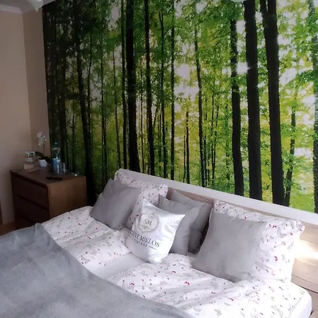Szent Miklos Apartment Hajduszoboszlo