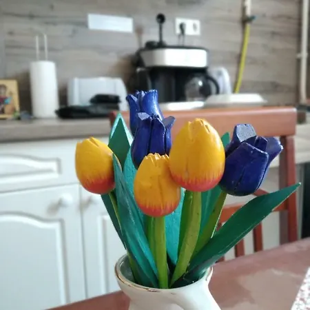 Apartman Szent Miklós *